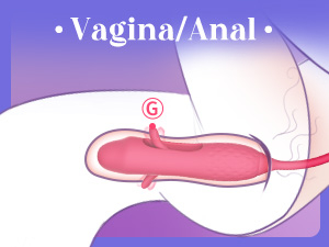 vibrators A5-3